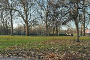 此为何意？萨拉赫更新社媒，晒落叶景色图