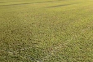 不甚理想！实拍：国安远征河内公安现场场地情况